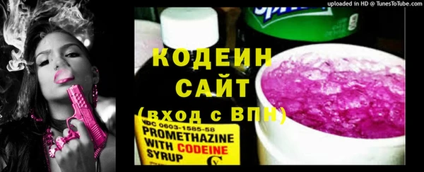 гашик Няндома