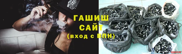 гашик Няндома