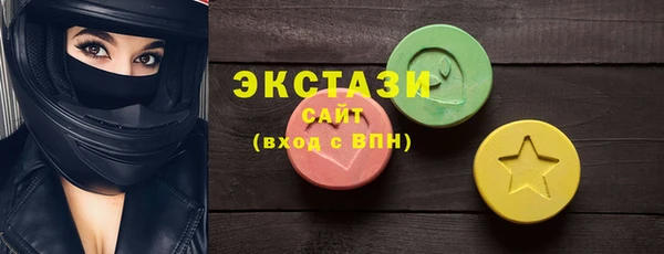 гашик Няндома