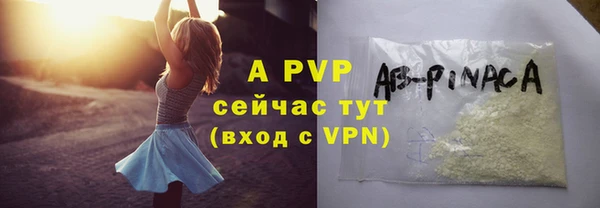 гашик Няндома