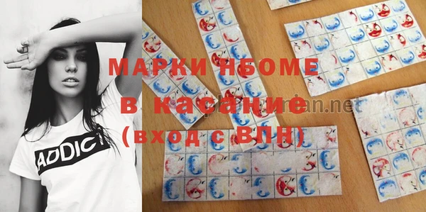 гашик Няндома