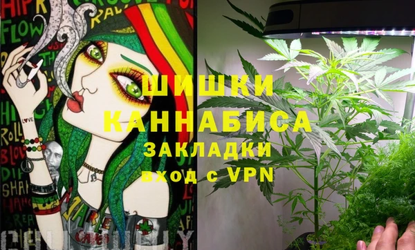 гашик Няндома