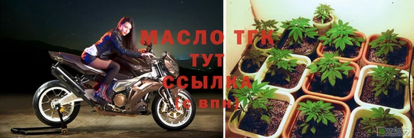 гашик Няндома