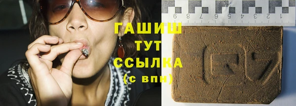 гашик Няндома