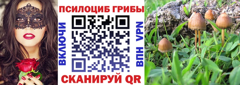 Псилоцибиновые грибы MAGIC MUSHROOMS  как найти закладки  Анжеро-Судженск 