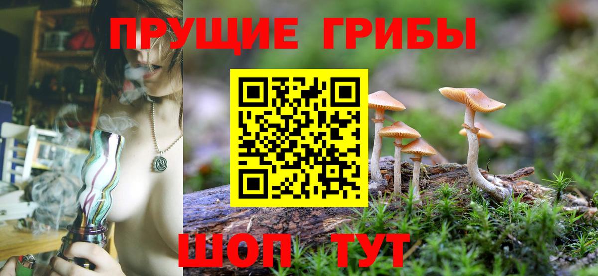 Псилоцибиновые грибы MAGIC MUSHROOMS Анжеро-Судженск