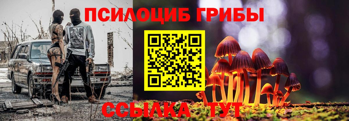 Псилоцибиновые грибы MAGIC MUSHROOMS  Анжеро-Судженск 